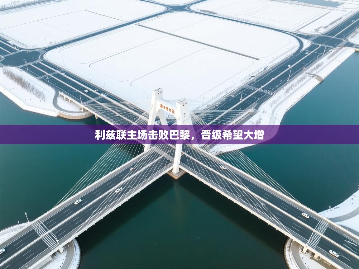 利兹联主场击败巴黎，晋级希望大增  第1张